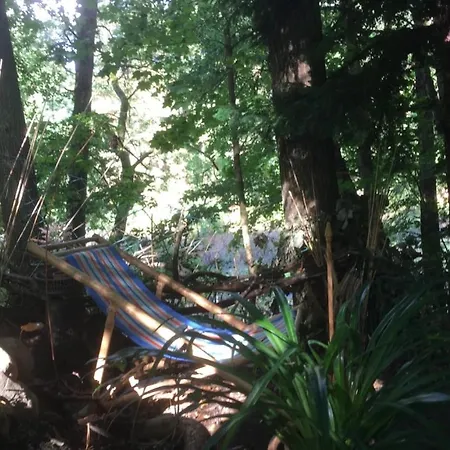 Waldfloss Am Silbersee - Nature Pure Life! *