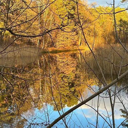 보트호텔 Waldfloss Am Silbersee - Nature Pure Life!