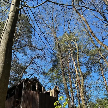 보트호텔 Waldfloss Am Silbersee - Nature Pure Life! Worpen