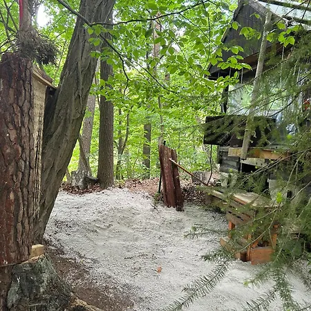 Waldfloss Am Silbersee - Nature Pure Life!