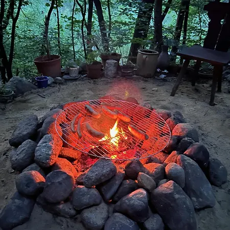 Waldfloss Am Silbersee - Nature Pure Life! * Worpen