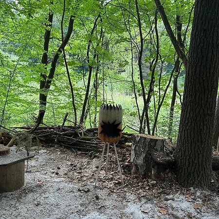 Waldfloss Am Silbersee - Nature Pure Life!