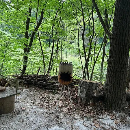 Waldfloss Am Silbersee - Nature Pure Life!