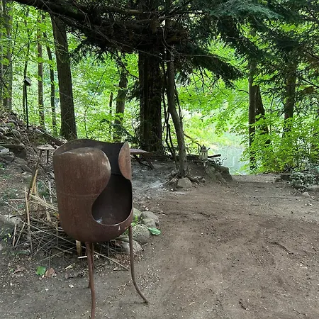 Waldfloss Am Silbersee - Nature Pure Life! 보트호텔 *