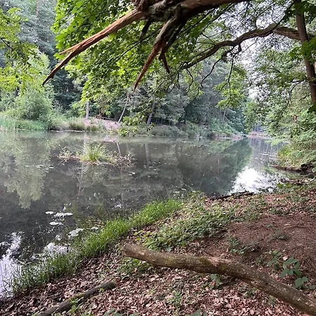 Waldfloss Am Silbersee - Nature Pure Life! *