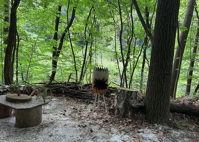 Waldfloss Am Silbersee - Nature Pure Life!