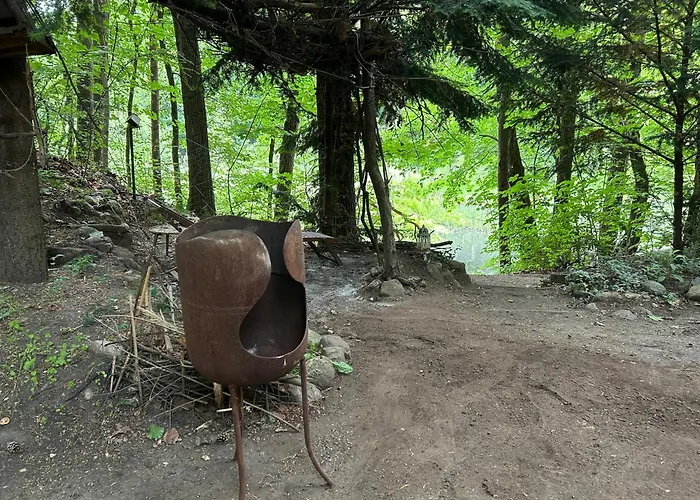 Waldfloss Am Silbersee - Nature Pure Life! Båthotell *