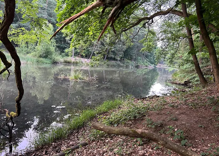 Waldfloss Am Silbersee - Nature Pure Life! *